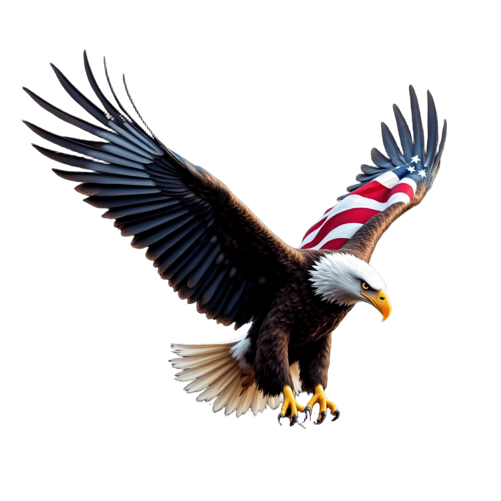 American Bald Eagle with Usa Flag Wings