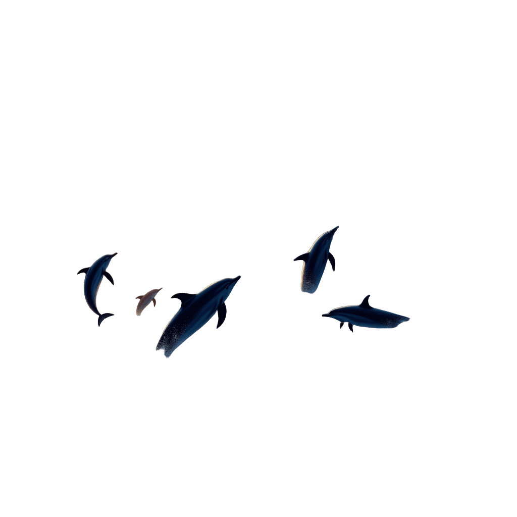 Giant Wave with Dolphins Leaping at Sunset