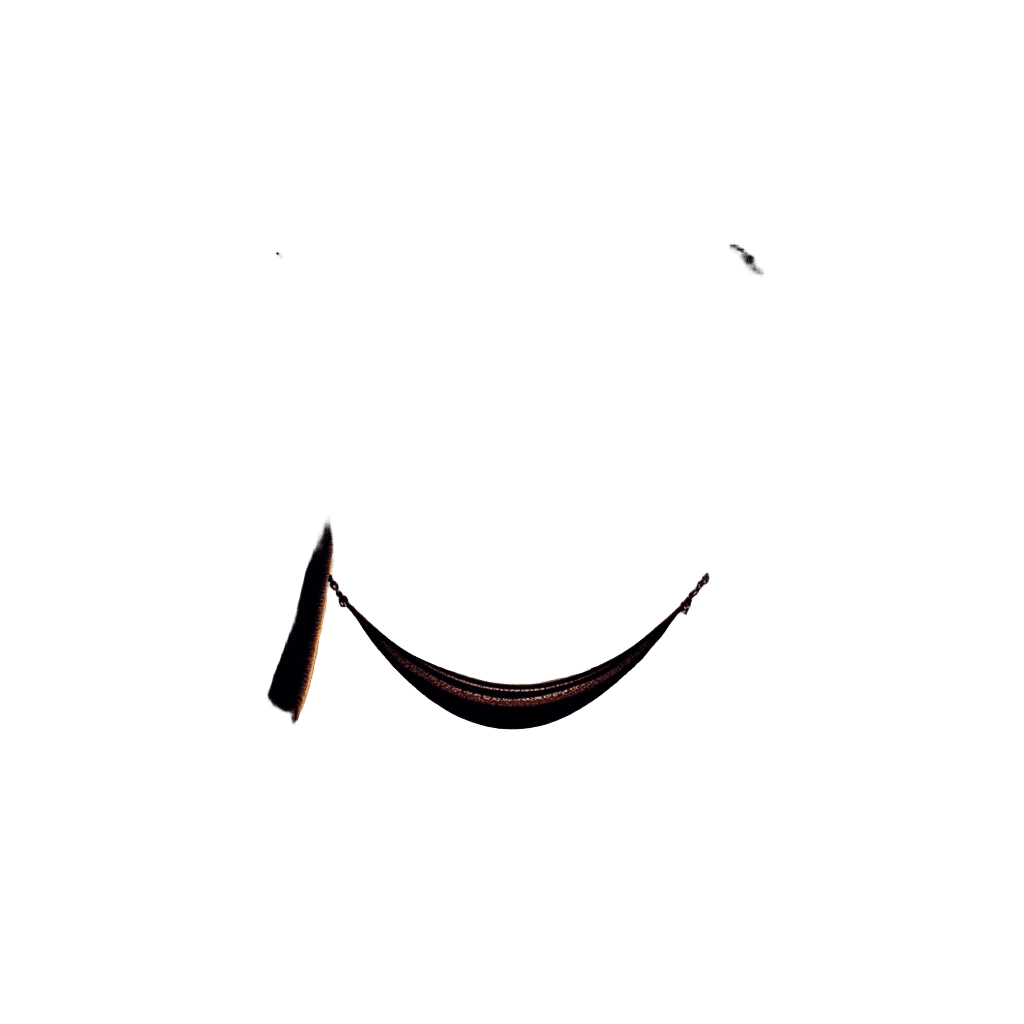 Hammock Sunset Palms