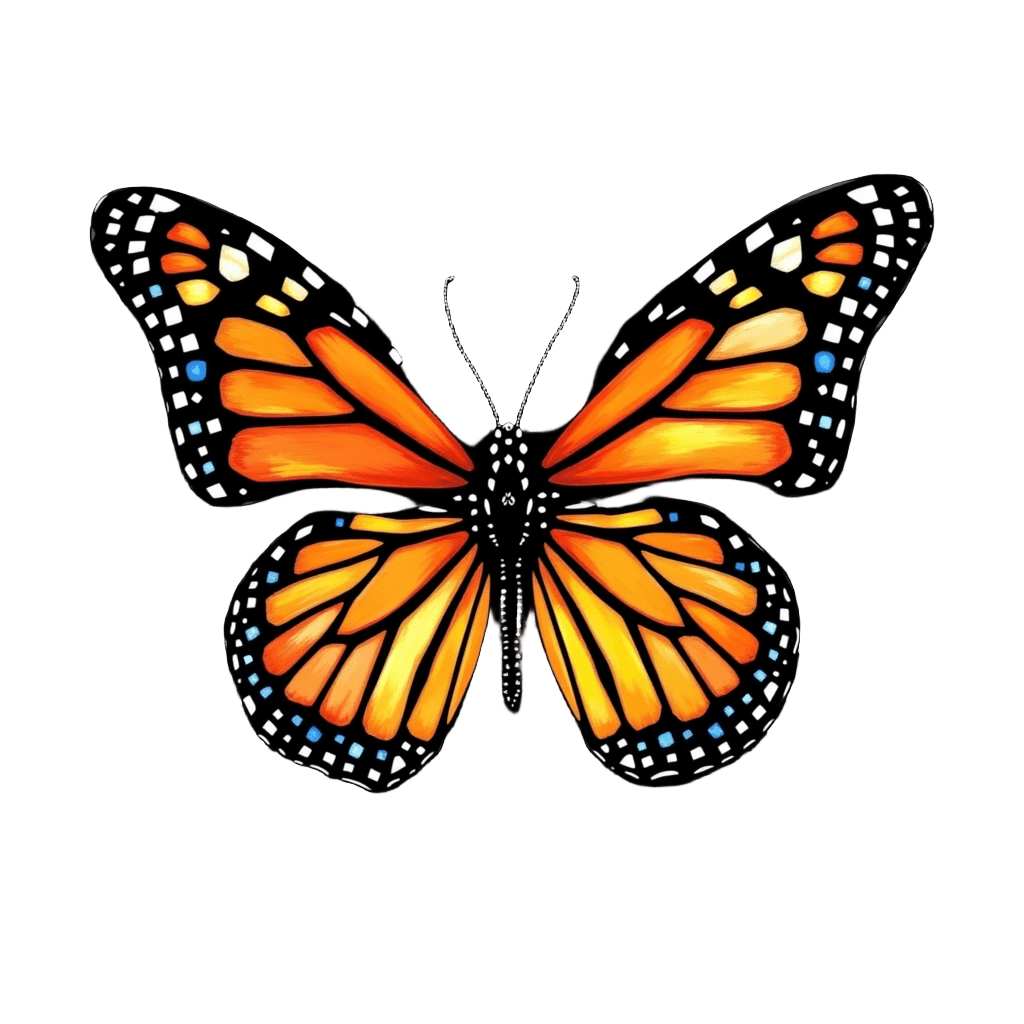 Glass Butterfly Wings