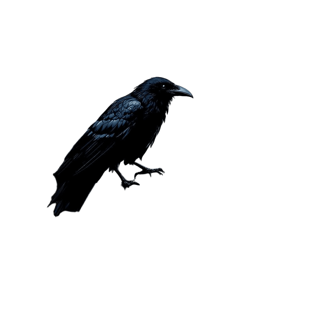 A Raven Perched on a Human Skull at Midnight