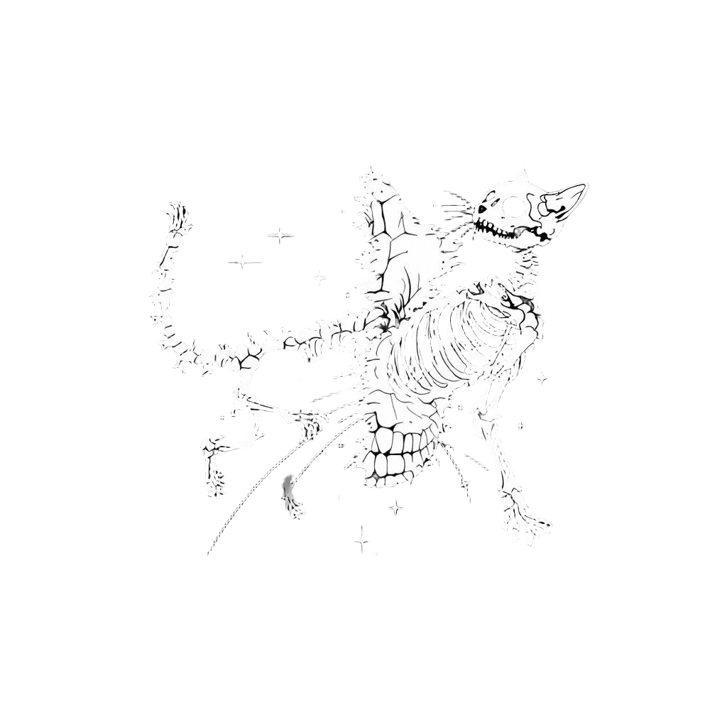 Schrodinger's Cat Both Alive and Dead