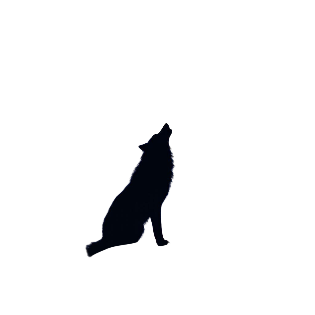 A Lone Wolf on a Mountain Summit Howling at the Stars