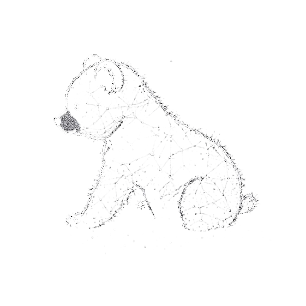 A Baby Bear Cub Made of Stars Forming the Ursa Minor Constellation